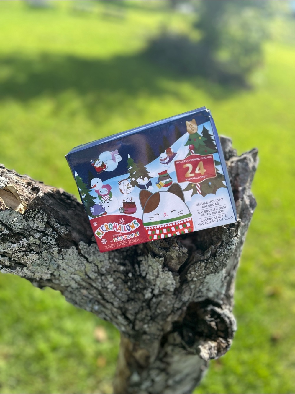 Micromallows by Original Squishmallows 24 Day Advent Calendar Mini Collectibles